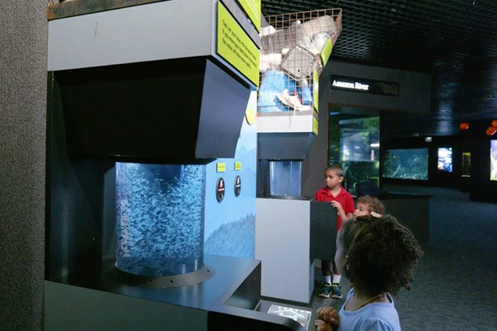 Image of Tennessee Aquarium, TDOT’s Nobody Trashes Tennessee Launch Exhibits Highlighting Impact of Road Litter, Microplastics on Waterways
