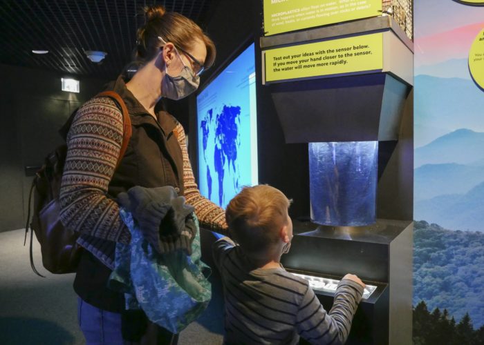Image of Tennessee Aquarium Partners with TDOT for New Exhibits on Earth Day