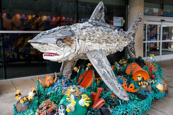 Image of Nobody Trashes Tennessee Sponsors Washed Ashore at Tennessee Aquarium