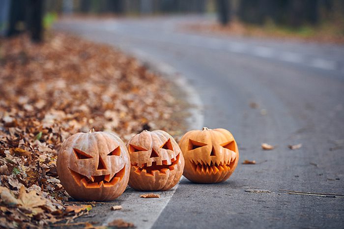 Image of 10 Spooky Facts About Litter You Should Know