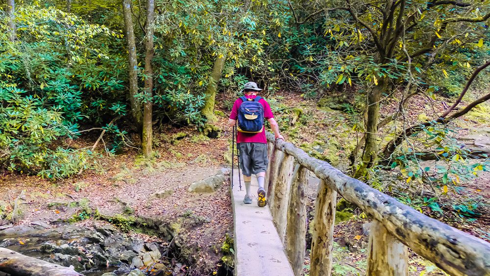 Pack It In, Pack It Out and Leave No Trace to Prevent Littering