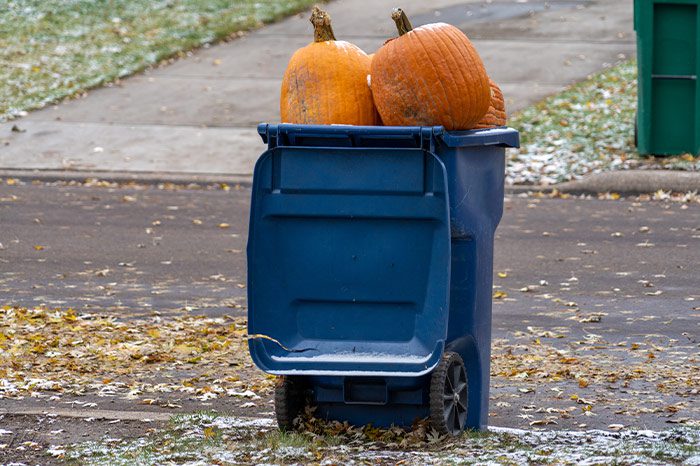 Image of 5 Ways to Have a Litter-Free Halloween in Tennessee