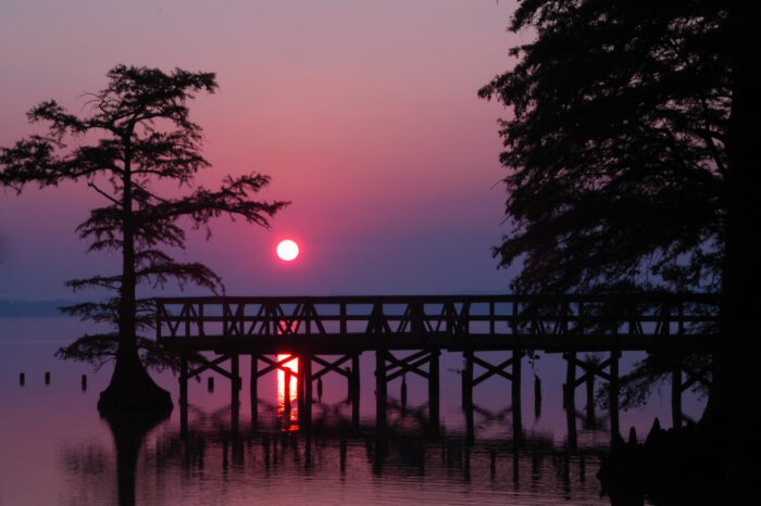 Reelfoot Lake State Park in Tiptonville, Tennessee.