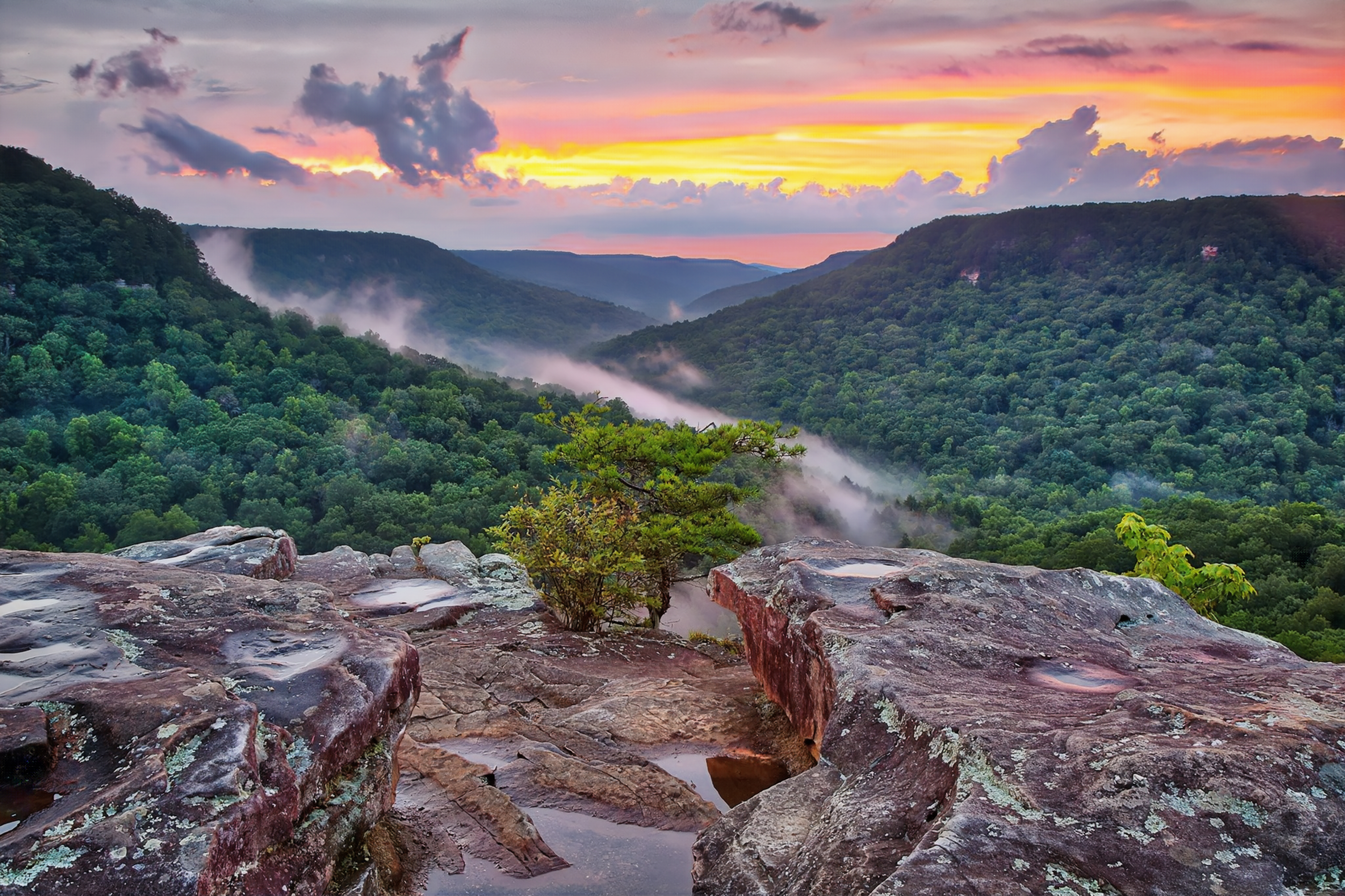 The beauty of our state is showcased throughout the Scenic Byways of Tennessee. We have numerous beautiful roads and highways that have been preserved and enhanced so that citizens and visitors can enjoy what they have to offer.