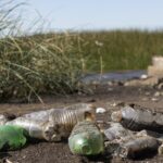 A waterway polluted with trash and plastic bottles, showing real-life facts about litter and how it harms ecosystems and contributes to water pollution.