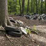 Illegal dumping in the woods in Tennessee.