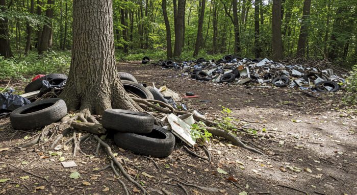 Image of Uncovering the Truth About Illegal Dumping in Tennessee
