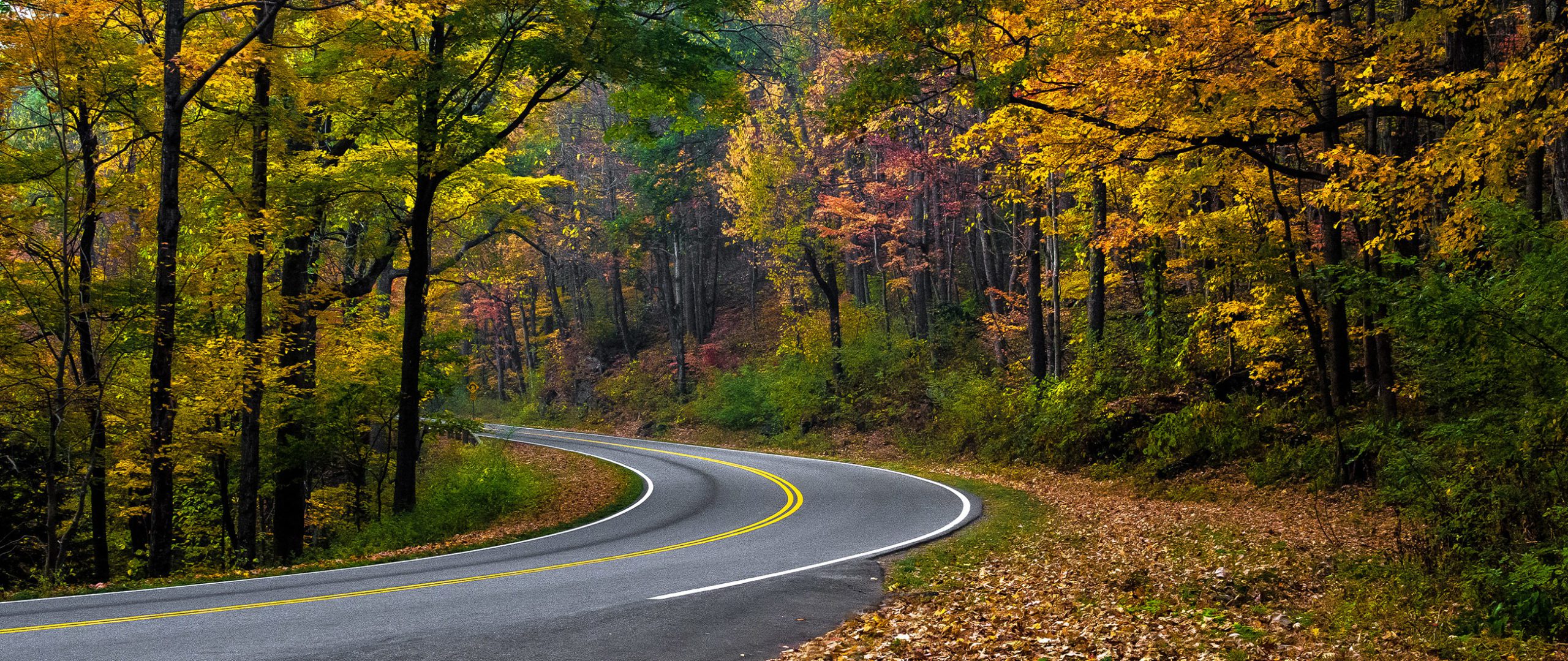 Curved highway in fall